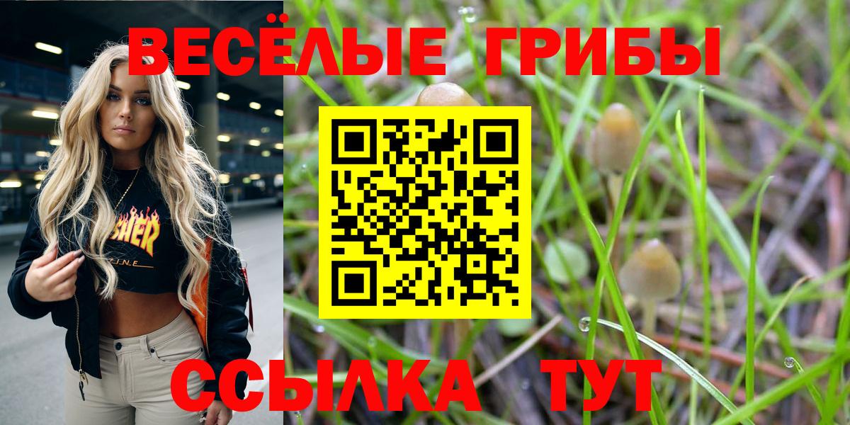 Каменск-Уральский  Галлюциногенные грибы Cubensis  наркотики  Вход с VPN 